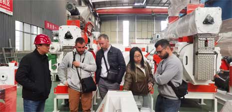 中歐客戶訪問強福機械購買飼料顆粒生產設備